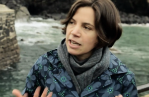 Prof Caitlin De Silvey